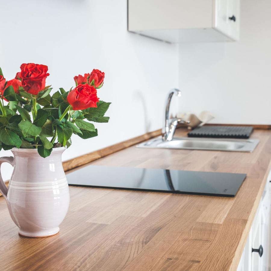 Apartmaji Aucin - Brda Kojsko Exteriér fotografie