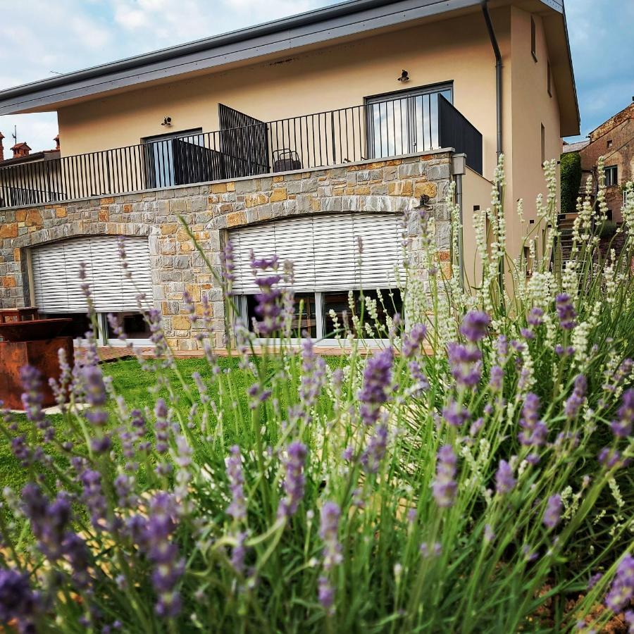 Apartmaji Aucin - Brda Kojsko Exteriér fotografie